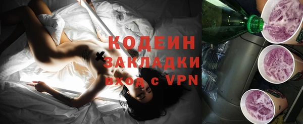 гашик Мегион