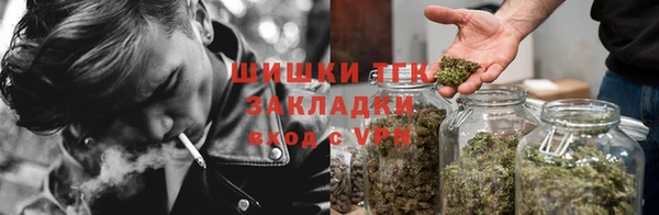ECSTASY Медногорск