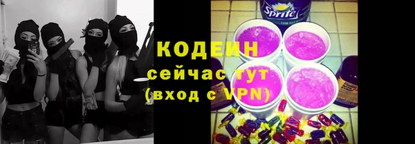 гашик Мегион