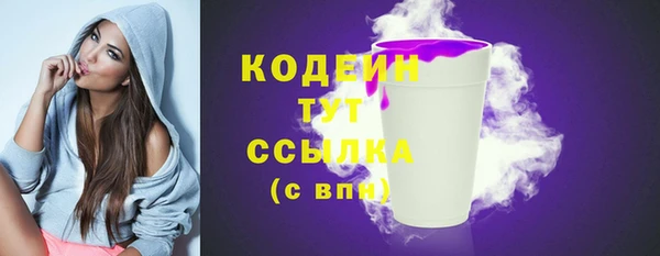 гашик Мегион