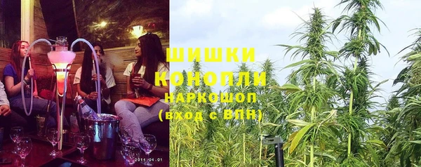 гашик Мегион