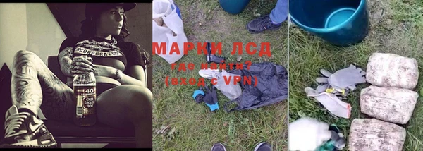 гашик Мегион