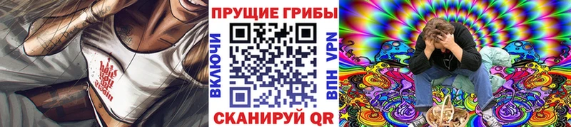 ОМГ ОМГ ссылки  Далматово  Псилоцибиновые грибы MAGIC MUSHROOMS 