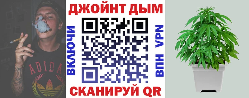 kraken ссылки  Далматово  Бошки Шишки сатива 
